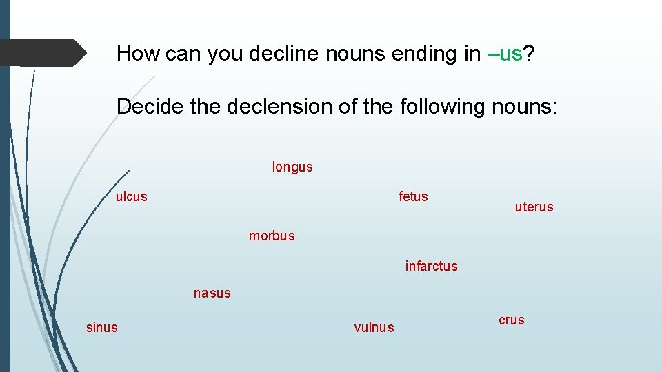 How can you decline nouns ending in –us? Decide the declension of the following