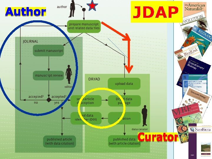JDAP JDAP