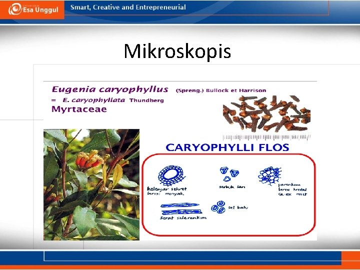 Mikroskopis 