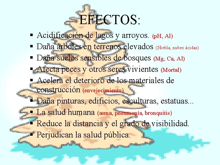 EFECTOS: § § § § § Acidificación de lagos y arroyos. (p. H, Al)