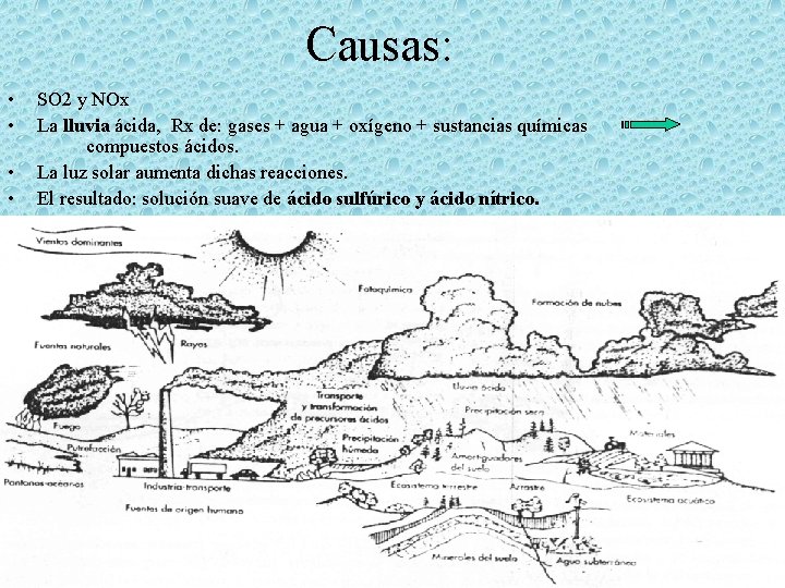 Causas: • • SO 2 y NOx La lluvia ácida, Rx de: gases +