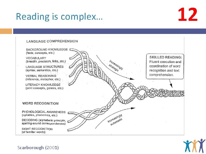 Reading is complex… Scarborough (2001) 12 