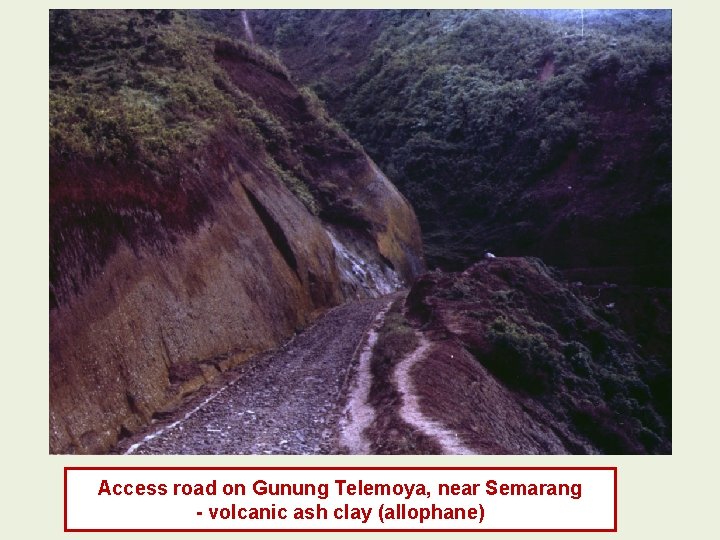 Access road on Gunung Telemoya, near Semarang - volcanic ash clay (allophane) Access road on Gunung Telemoya, near Semarang - volcanic ash clay (allophane)
