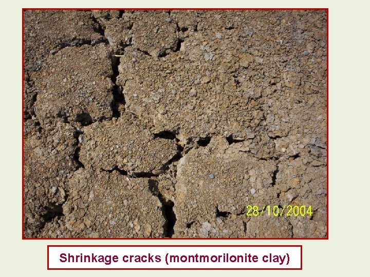 Shrinkage cracks (montmorilonite clay) Shrinkage cracks (montmorilonite clay)