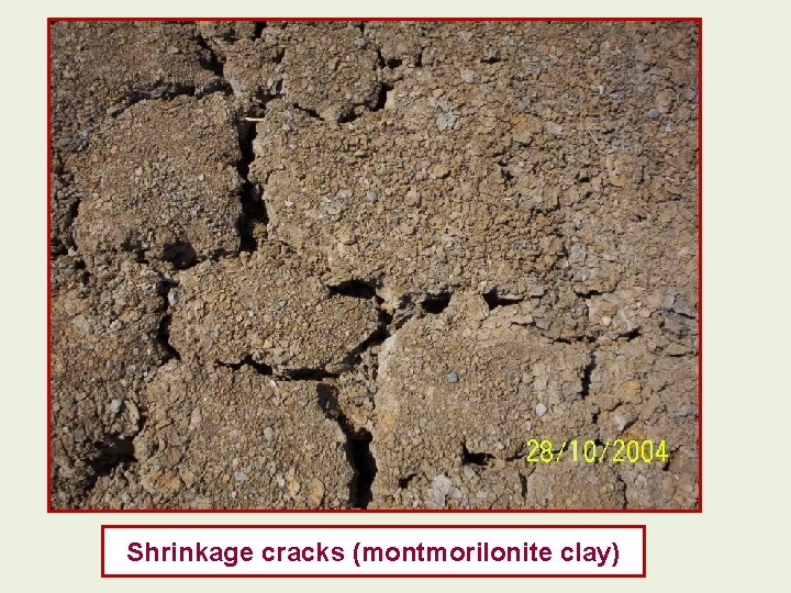 Shrinkage cracks (montmorilonite clay) 