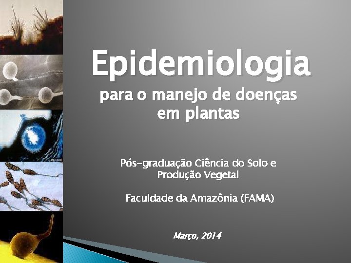 Epidemiologia para o manejo de doenças em plantas Pós-graduação Ciência do Solo e Produção Epidemiologia para o manejo de doenças em plantas Pós-graduação Ciência do Solo e Produção