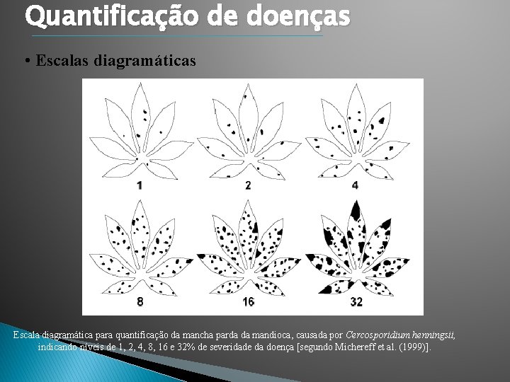 Quantificação de doenças • Escalas diagramáticas Escala diagramática para quantificação da mancha parda da Quantificação de doenças • Escalas diagramáticas Escala diagramática para quantificação da mancha parda da
