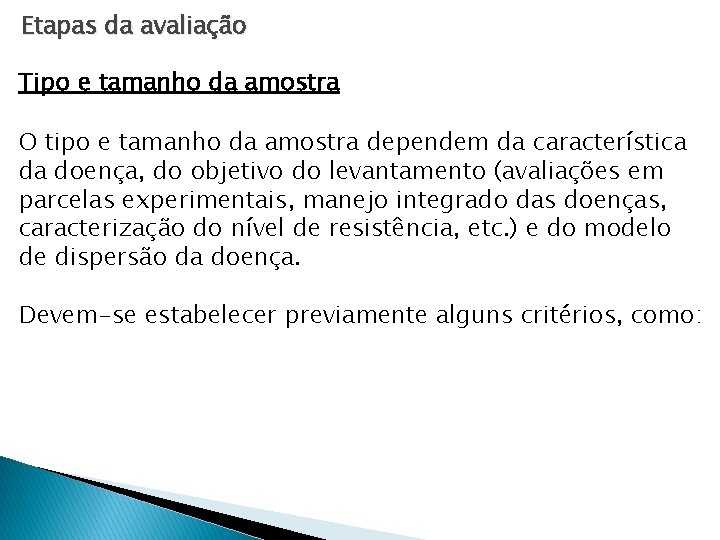 Etapas da avaliação Tipo e tamanho da amostra O tipo e tamanho da amostra Etapas da avaliação Tipo e tamanho da amostra O tipo e tamanho da amostra