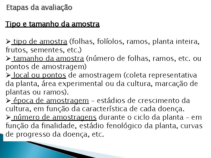 Etapas da avaliação Tipo e tamanho da amostra Ø tipo de amostra (folhas, folíolos, Etapas da avaliação Tipo e tamanho da amostra Ø tipo de amostra (folhas, folíolos,