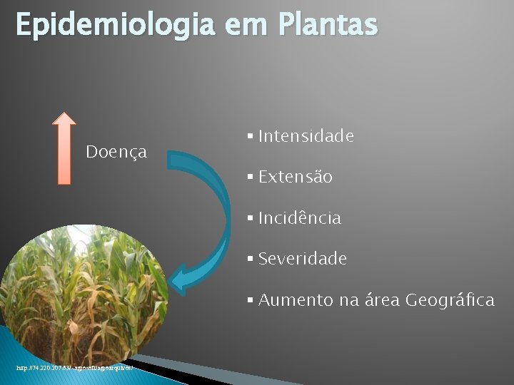 Epidemiologia em Plantas Doença § Intensidade § Extensão § Incidência § Severidade § Aumento Epidemiologia em Plantas Doença § Intensidade § Extensão § Incidência § Severidade § Aumento