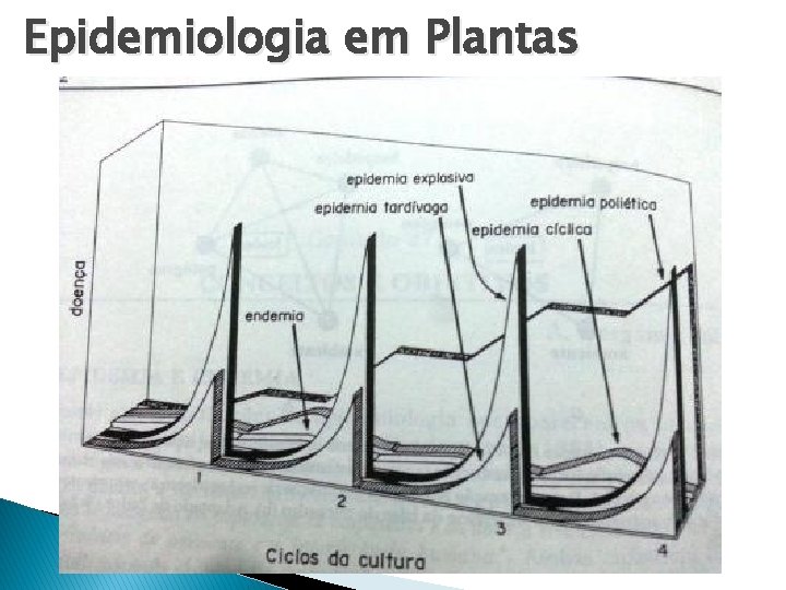 Epidemiologia em Plantas Epidemiologia em Plantas