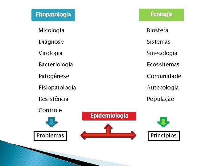 Ecologia Fitopatologia Micologia Biosfera Diagnose Sistemas Virologia Sinecologia Bacteriologia Ecossitemas Patogênese Comunidade Fisiopatologia Autecologia Ecologia Fitopatologia Micologia Biosfera Diagnose Sistemas Virologia Sinecologia Bacteriologia Ecossitemas Patogênese Comunidade Fisiopatologia Autecologia