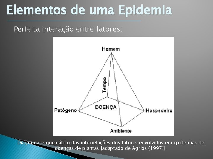 Elementos de uma Epidemia Perfeita interação entre fatores: Diagrama esquemático das interrelações dos fatores Elementos de uma Epidemia Perfeita interação entre fatores: Diagrama esquemático das interrelações dos fatores