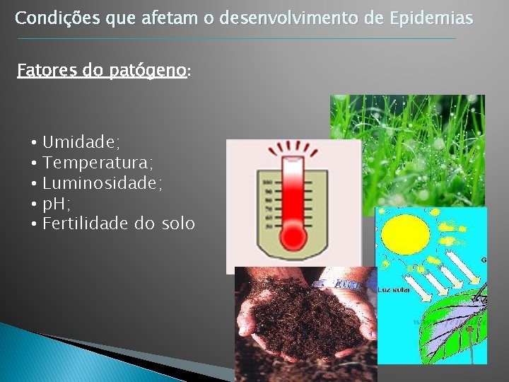 Condições que afetam o desenvolvimento de Epidemias Fatores do patógeno: • • • Umidade; Condições que afetam o desenvolvimento de Epidemias Fatores do patógeno: • • • Umidade;