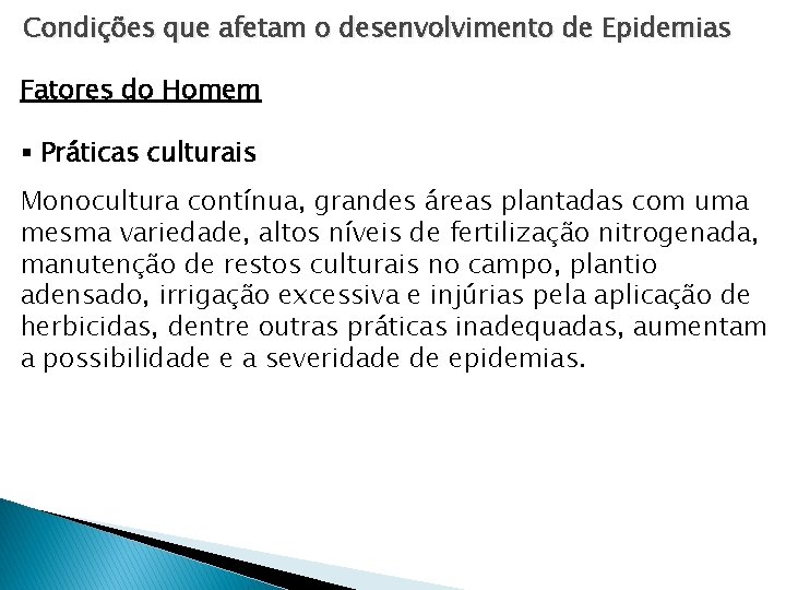 Condições que afetam o desenvolvimento de Epidemias Fatores do Homem § Práticas culturais Monocultura Condições que afetam o desenvolvimento de Epidemias Fatores do Homem § Práticas culturais Monocultura