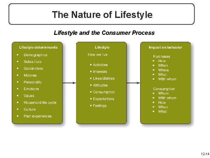 The Nature of Lifestyle and the Consumer Process 12 -14 