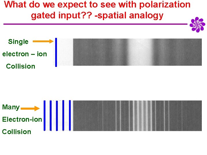 What do we expect to see with polarization gated input? ? -spatial analogy Single