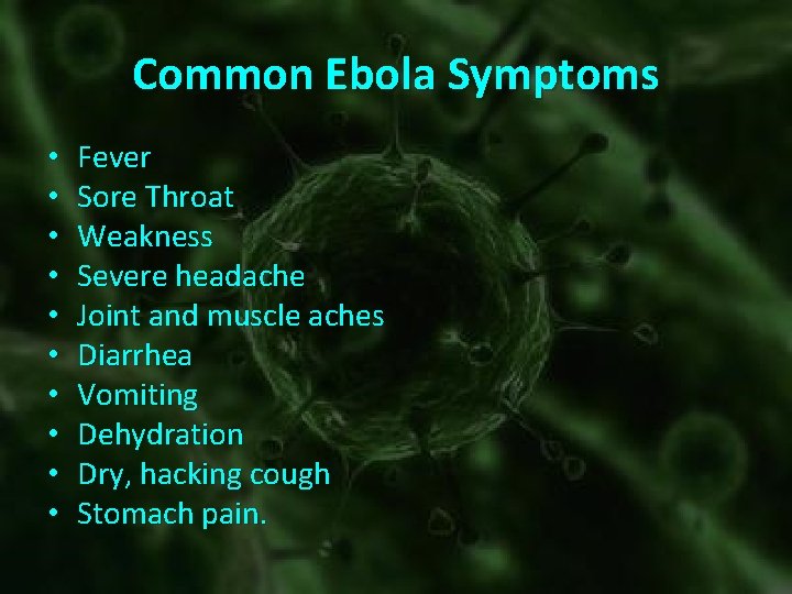 Common Ebola Symptoms • • • Fever Sore Throat Weakness Severe headache Joint and