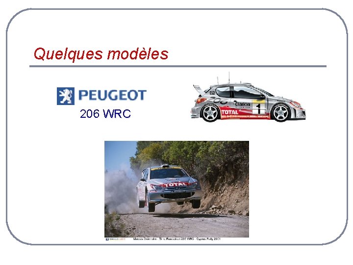 Quelques modèles 206 WRC 