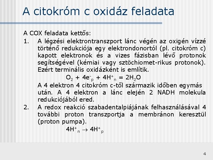 A citokróm c oxidáz feladata A COX feladata kettős: 1. A légzési elektrontranszport lánc