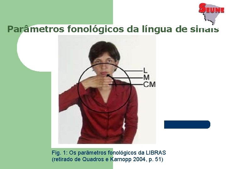 Parâmetros fonológicos da língua de sinais Fig. 1: Os parâmetros fonológicos da LIBRAS (retirado