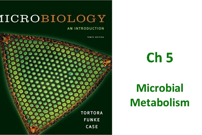 Ch 5 Microbial Metabolism 