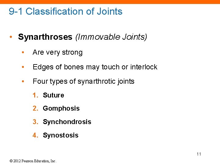 9 -1 Classification of Joints • Synarthroses (Immovable Joints) • Are very strong •