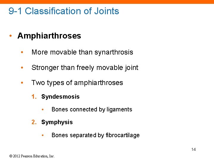 9 -1 Classification of Joints • Amphiarthroses • More movable than synarthrosis • Stronger