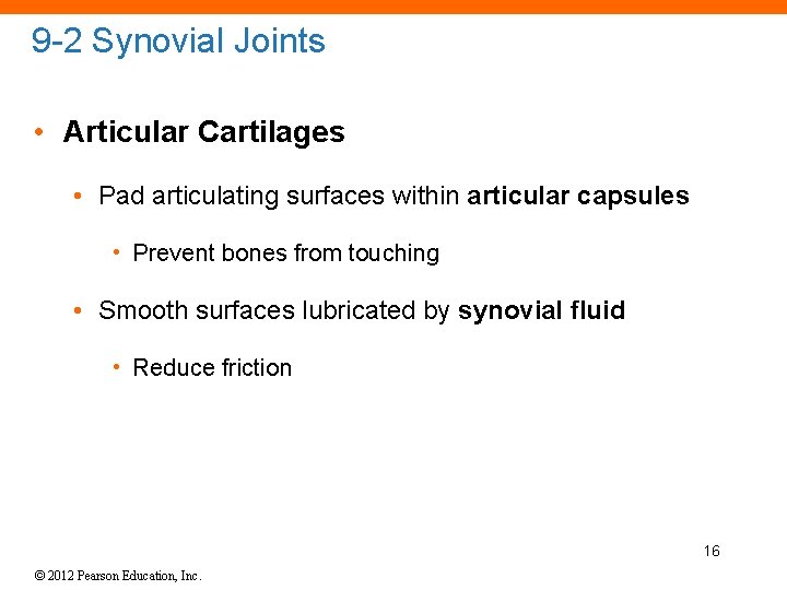 9 -2 Synovial Joints • Articular Cartilages • Pad articulating surfaces within articular capsules