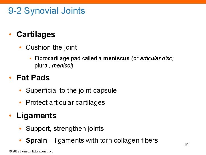 9 -2 Synovial Joints • Cartilages • Cushion the joint • Fibrocartilage pad called