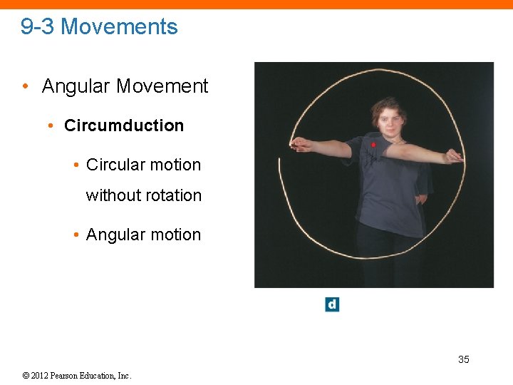 9 -3 Movements • Angular Movement • Circumduction • Circular motion without rotation •