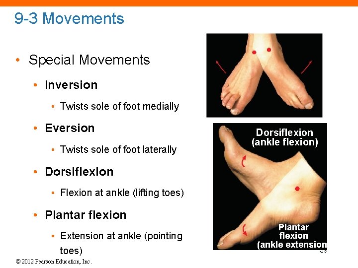 9 -3 Movements • Special Movements • Inversion • Twists sole of foot medially