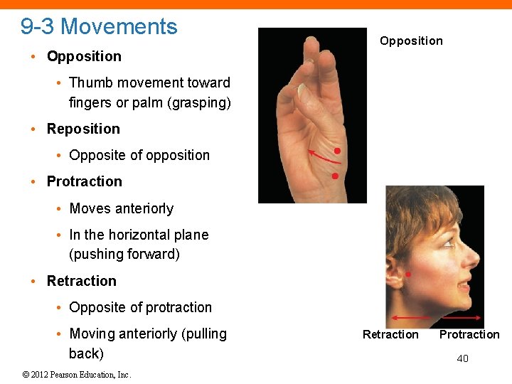 9 -3 Movements Opposition • Opposition • Thumb movement toward fingers or palm (grasping)