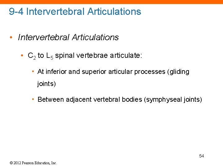 9 -4 Intervertebral Articulations • C 2 to L 5 spinal vertebrae articulate: •