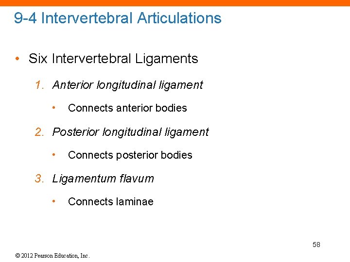 9 -4 Intervertebral Articulations • Six Intervertebral Ligaments 1. Anterior longitudinal ligament • Connects