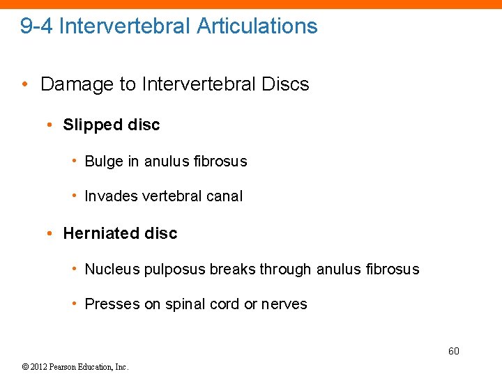 9 -4 Intervertebral Articulations • Damage to Intervertebral Discs • Slipped disc • Bulge