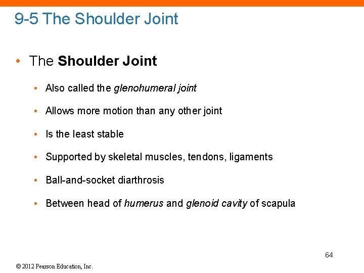 9 -5 The Shoulder Joint • Also called the glenohumeral joint • Allows more