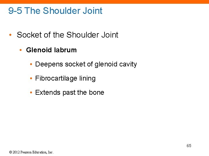 9 -5 The Shoulder Joint • Socket of the Shoulder Joint • Glenoid labrum