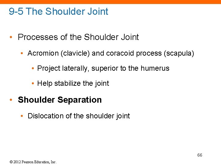 9 -5 The Shoulder Joint • Processes of the Shoulder Joint • Acromion (clavicle)