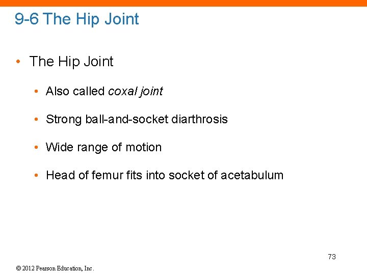 9 -6 The Hip Joint • Also called coxal joint • Strong ball-and-socket diarthrosis
