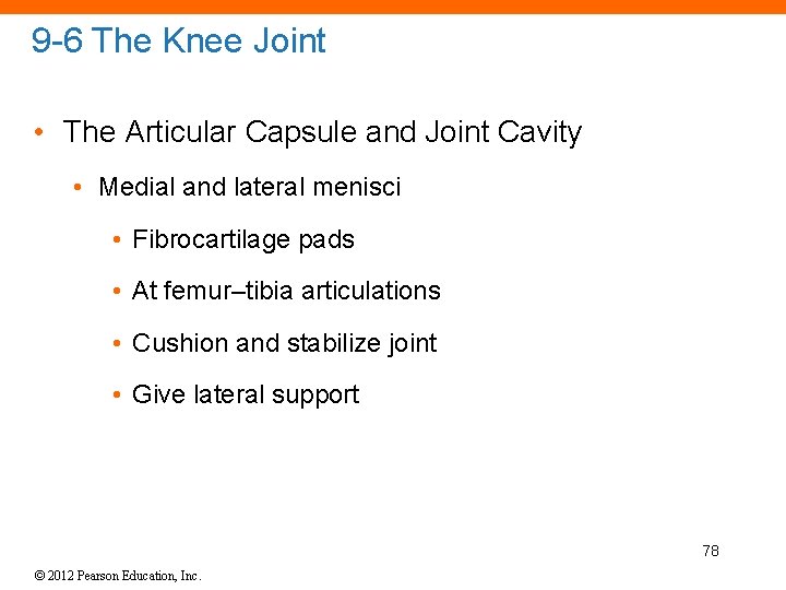 9 -6 The Knee Joint • The Articular Capsule and Joint Cavity • Medial