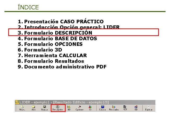 ÍNDICE 1. Presentación CASO PRÁCTICO 2. Introducción Opción general: LIDER 3. Formulario DESCRIPCIÓN 4.