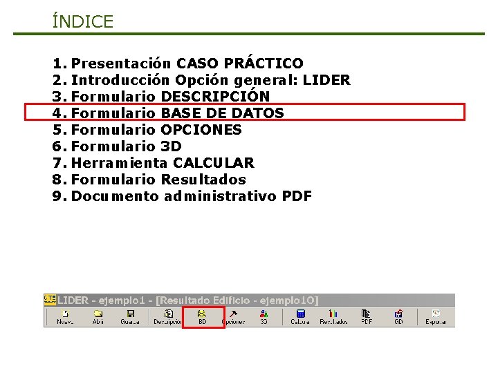 ÍNDICE 1. Presentación CASO PRÁCTICO 2. Introducción Opción general: LIDER 3. Formulario DESCRIPCIÓN 4.