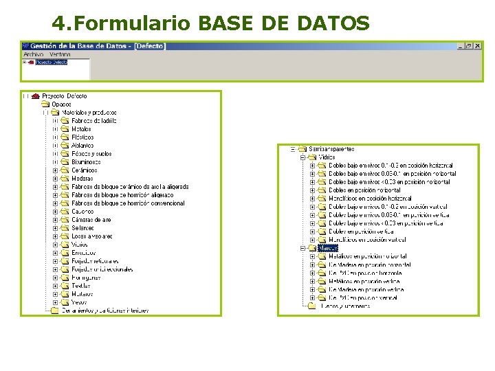 4. Formulario BASE DE DATOS 13 