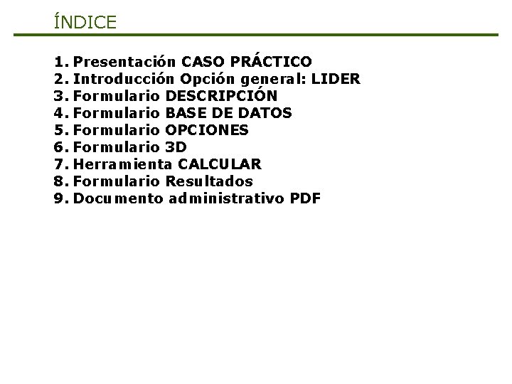 ÍNDICE 1. Presentación CASO PRÁCTICO 2. Introducción Opción general: LIDER 3. Formulario DESCRIPCIÓN 4.