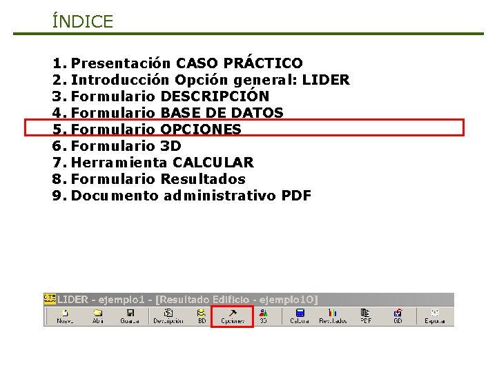 ÍNDICE 1. Presentación CASO PRÁCTICO 2. Introducción Opción general: LIDER 3. Formulario DESCRIPCIÓN 4.