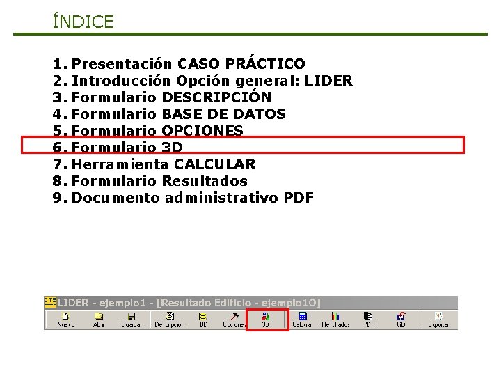 ÍNDICE 1. Presentación CASO PRÁCTICO 2. Introducción Opción general: LIDER 3. Formulario DESCRIPCIÓN 4.