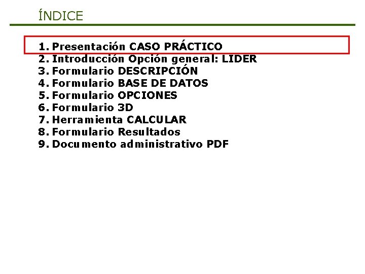 ÍNDICE 1. Presentación CASO PRÁCTICO 2. Introducción Opción general: LIDER 3. Formulario DESCRIPCIÓN 4.