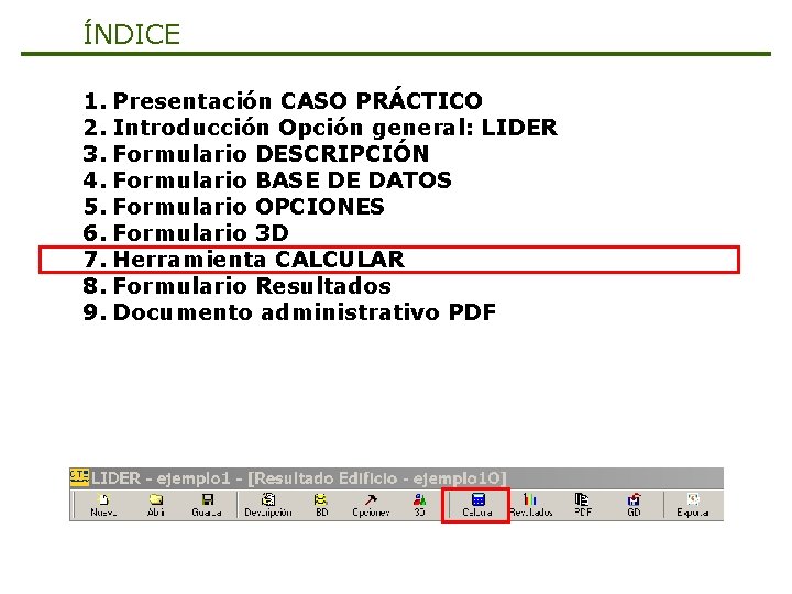 ÍNDICE 1. Presentación CASO PRÁCTICO 2. Introducción Opción general: LIDER 3. Formulario DESCRIPCIÓN 4.