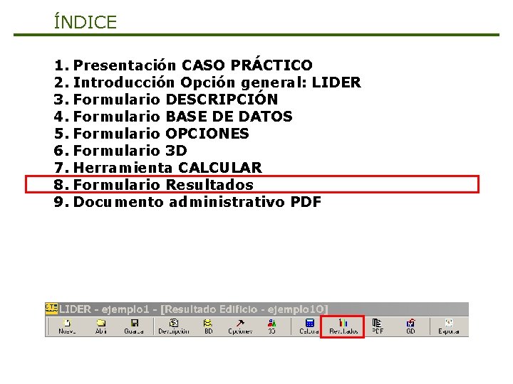 ÍNDICE 1. Presentación CASO PRÁCTICO 2. Introducción Opción general: LIDER 3. Formulario DESCRIPCIÓN 4.